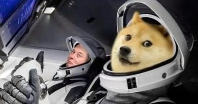 Dogecoin (DOGE) y Elon Musk
