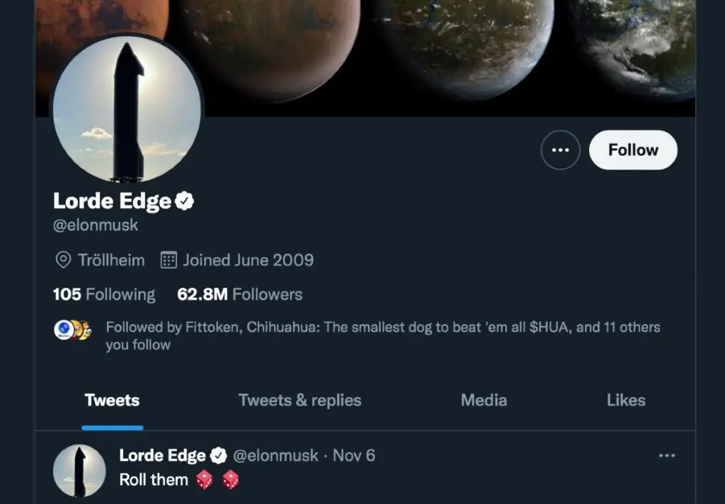 Lorde Edge, el nuevo nombre de Elon Musk en Twitter