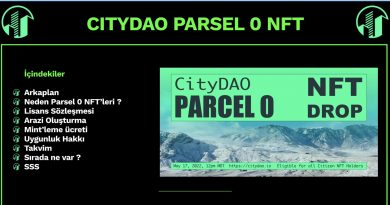 CityDAO-NFT
