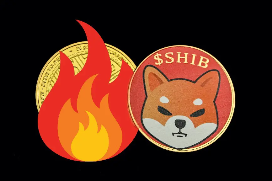 Shiba Inu (SHIB) burn