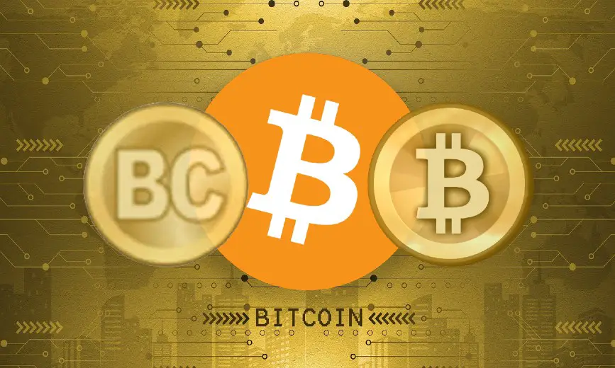 Bitcoin Logo Story